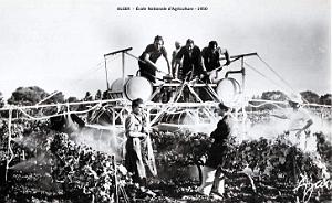 ALGER - ECOLE2 NATIONALE D'AGRICULTURE - 1950